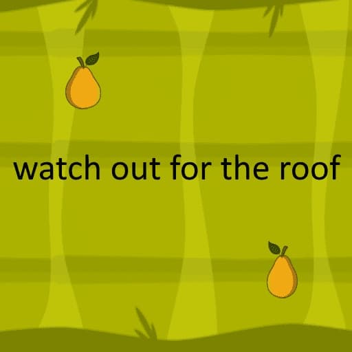 watch out for the roof