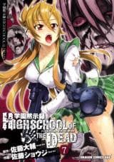Highschool of the Dead (Full Color)
